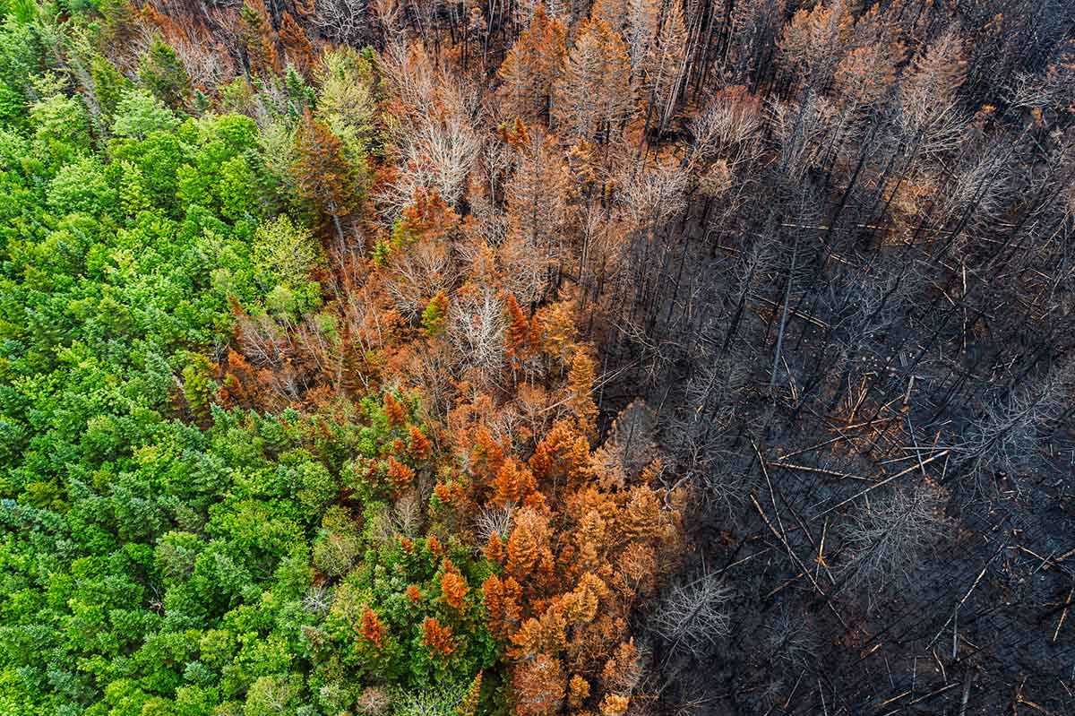 rischio climatico incendi