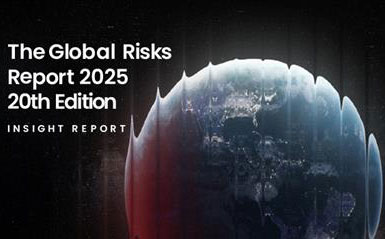 Global Risks Report 2025